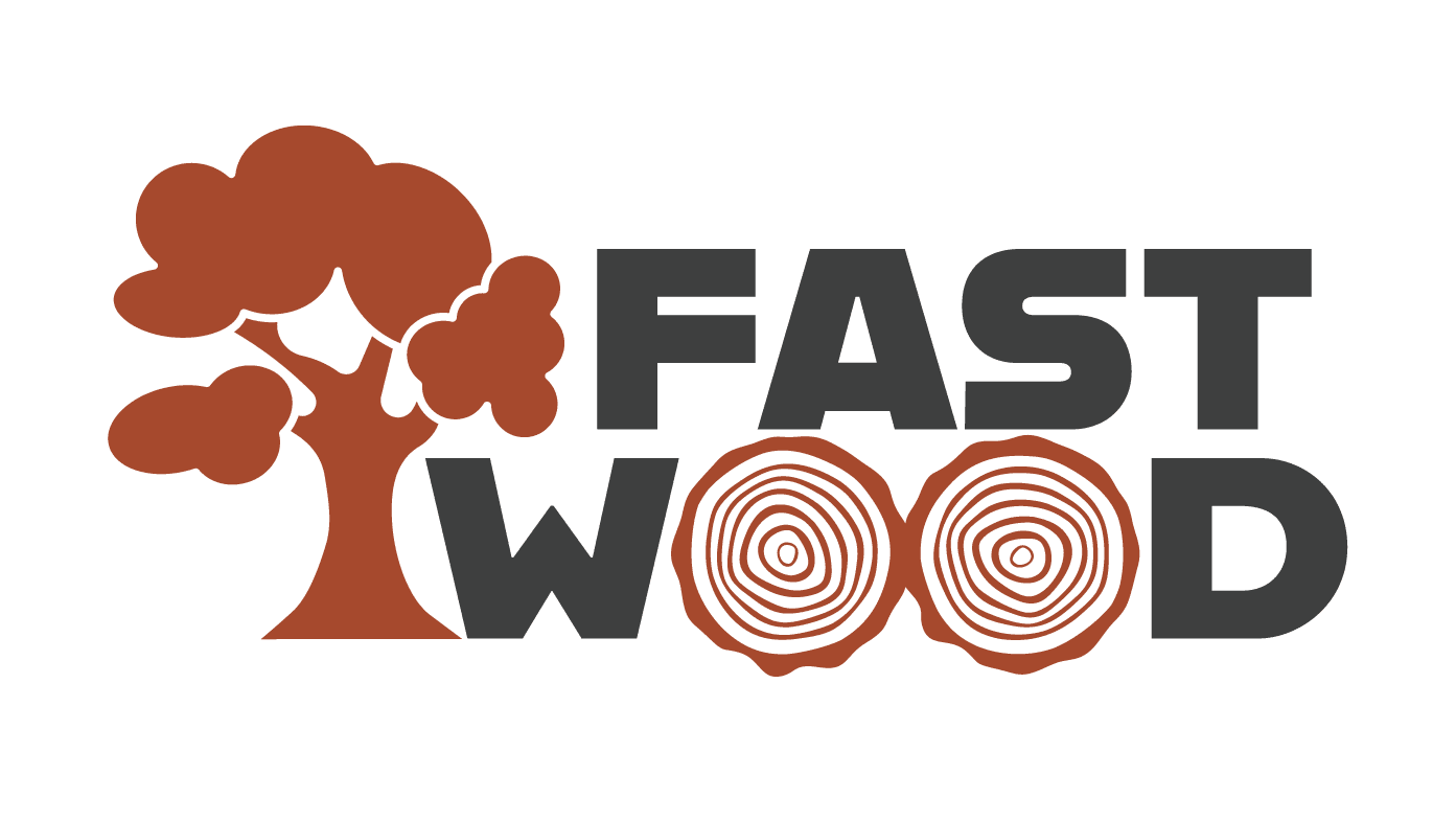 News 3 Holzbau Kompetenz Sachsen GmbH – Logo FastWood farbig