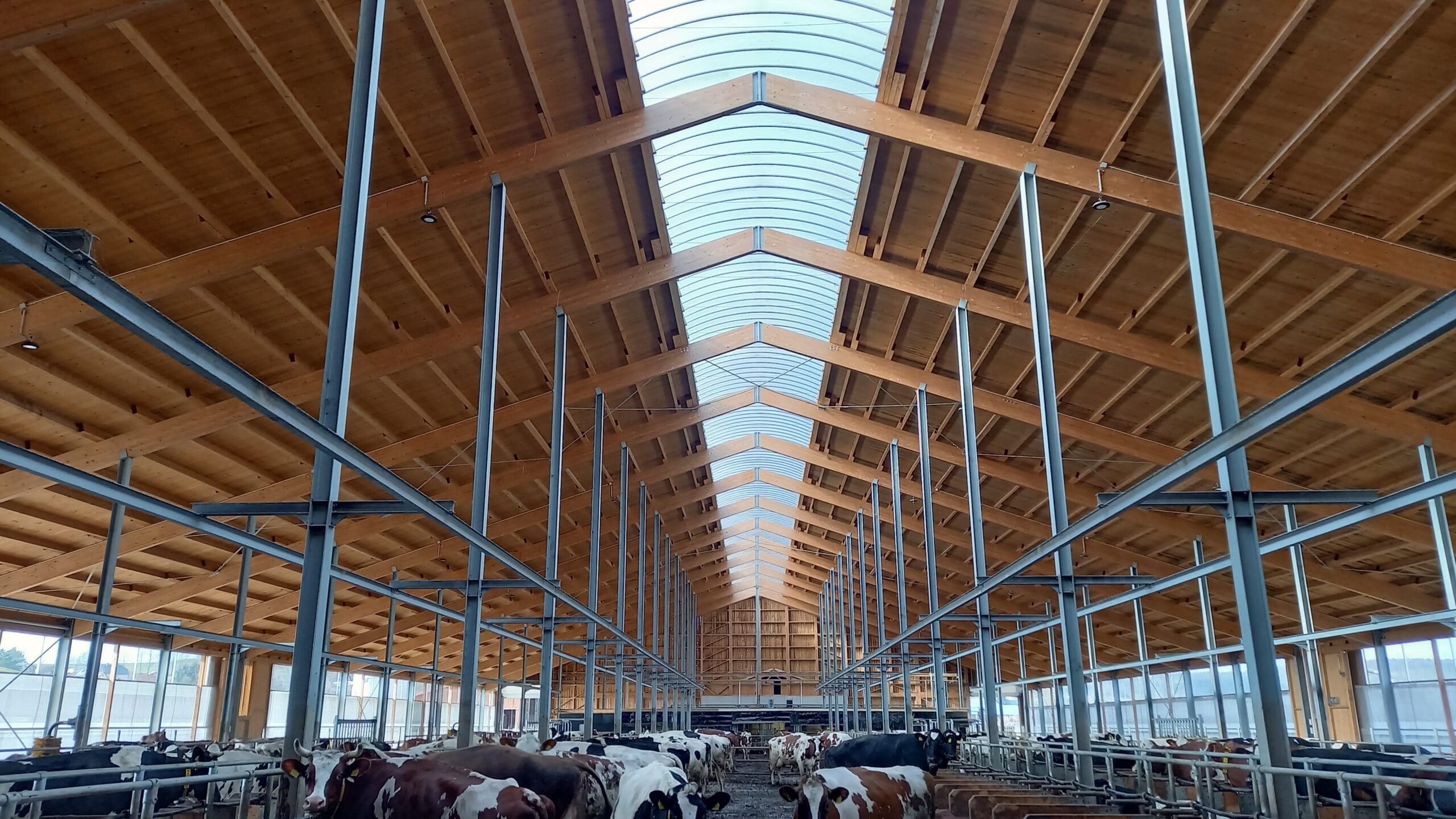 News 1 Holzbau Kompetenz Sachsen GmbH – 20230222 121411 scaled